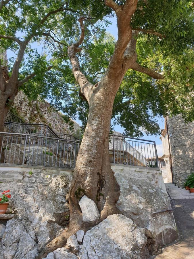 Вілла Casa Di Mamma Rosa Castelnuovo Parano Екстер'єр фото